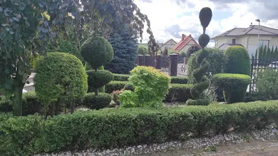 Plantoria Usługi Ogrodnicze